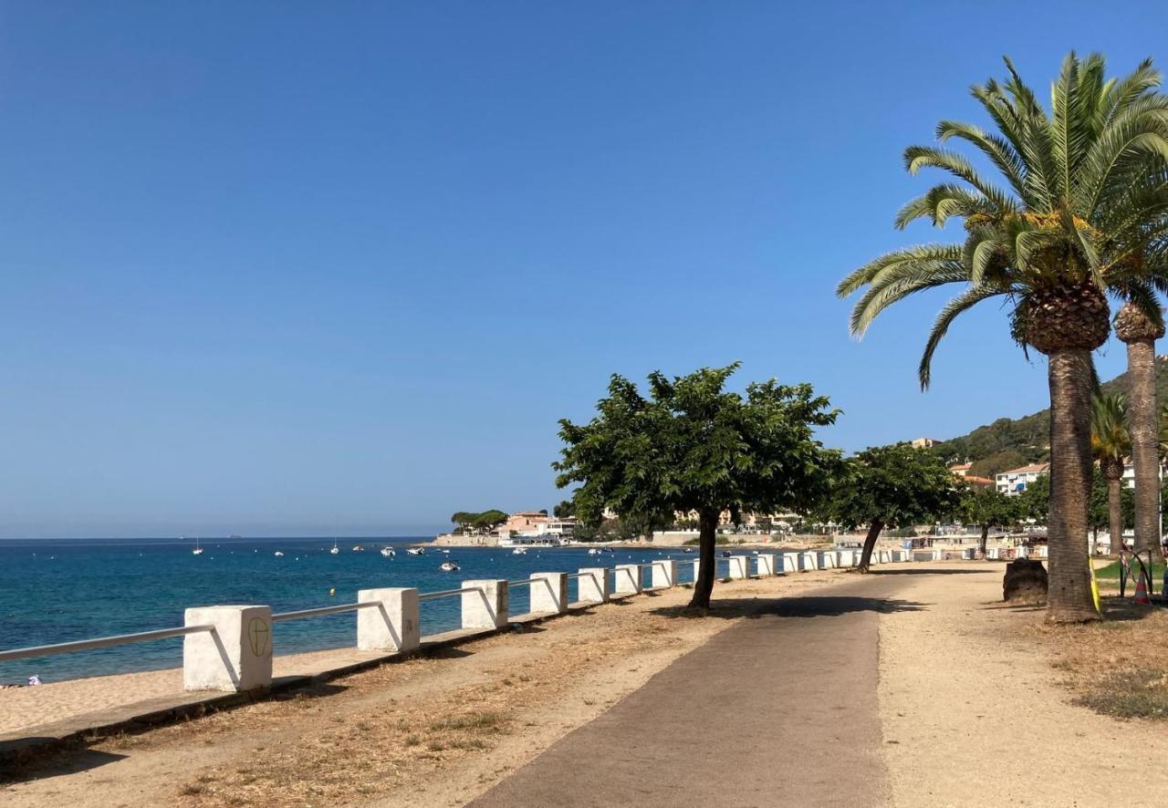 Appartement 50M2 Pied Dans L'Eau Ajaccio  Exteriör bild