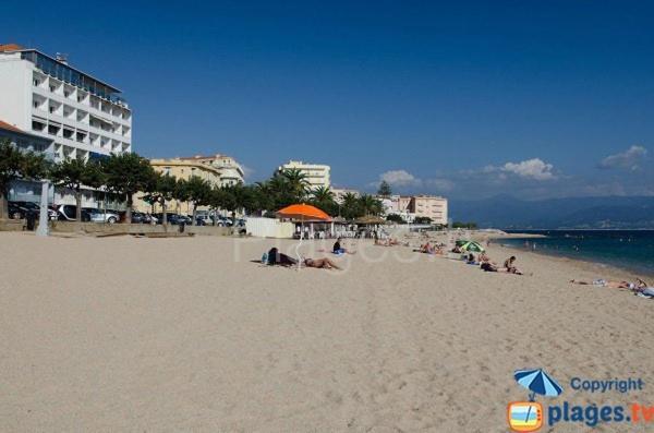 Appartement 50M2 Pied Dans L'Eau Ajaccio  Exteriör bild